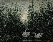 Caspar David Friedrich Schwane im Schilf Spain oil painting artist